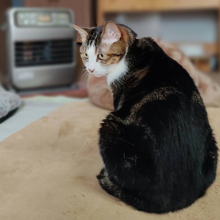 Cab4a019 449d 4b36 bbf3 15d68cd9b23b 1674171155606