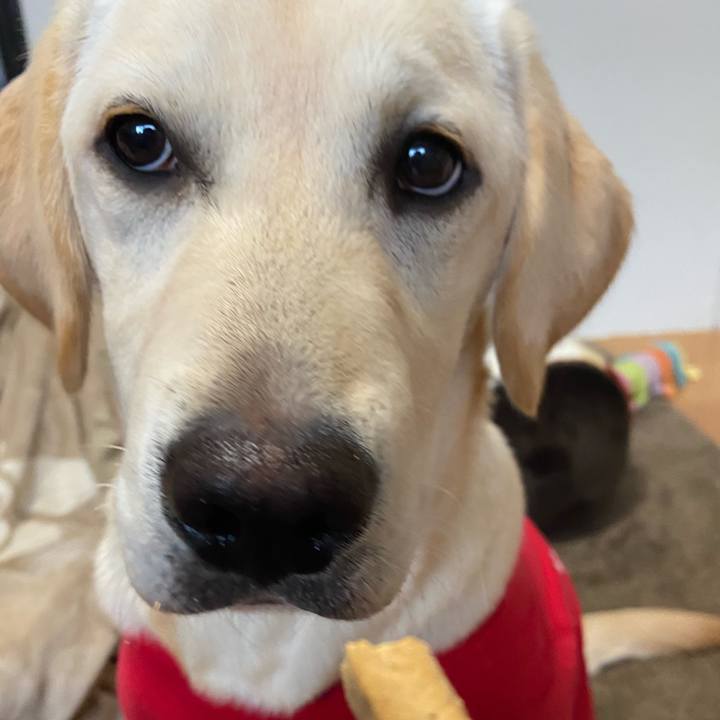 Cab4a0ba 9e77 40ff 9165 4d96b04822f5 1619593380568