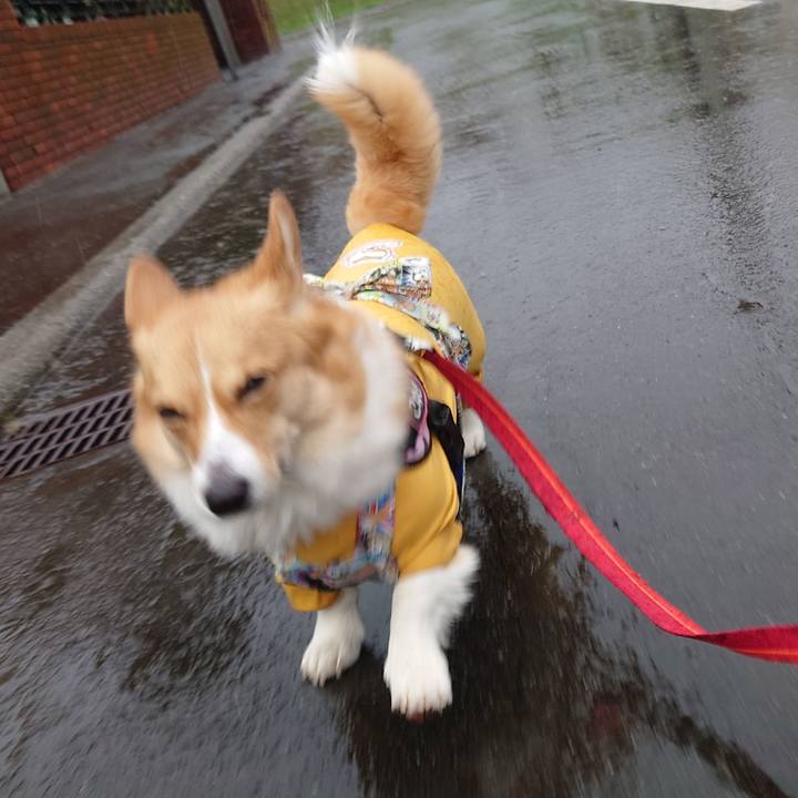 Cab4a491 21fa 45a7 99a1 5bbf3b84a4a3 1776725050622