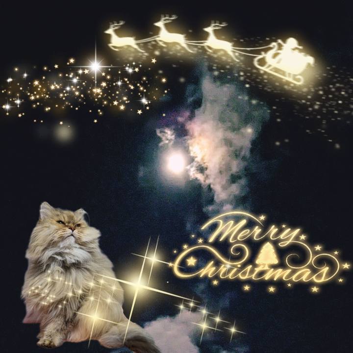 Cab4e436 267a 4a36 9436 a23b030ed99c 1703422375638