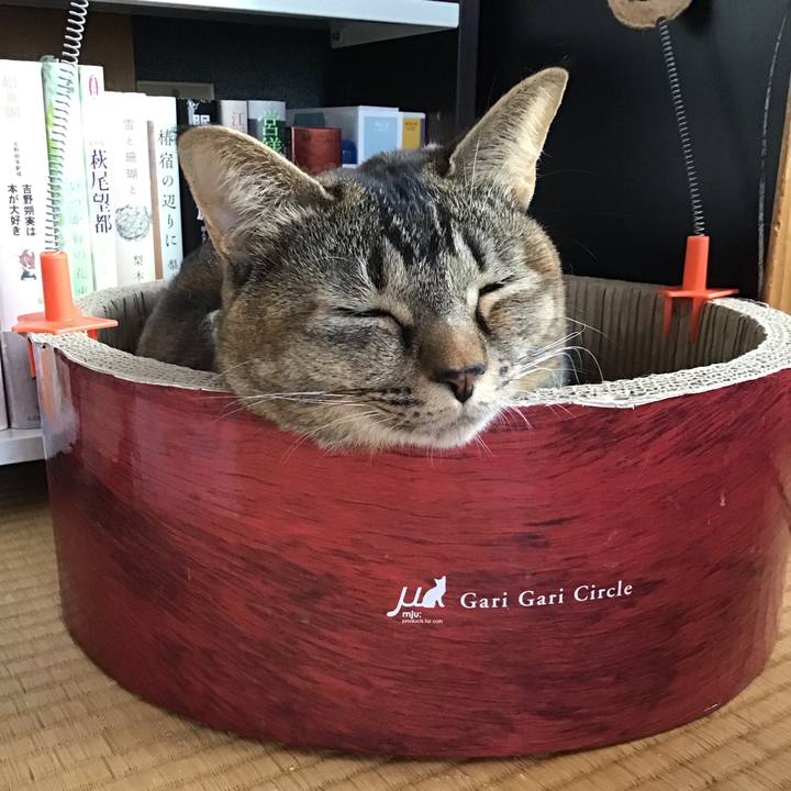 Cab50551 20e7 4f3f 9e6d 3e35e5796e35 1639877704291