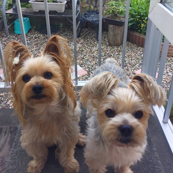 Cab52797 eaaf 48e0 bb1f 8dc886c13f7d 1528236898877