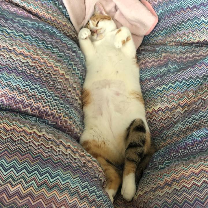 Cab54430 ae30 4246 b537 72abebf1295e 1588739589172