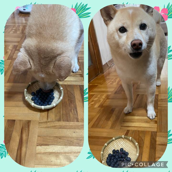 Cab55745 a31b 4f3e a446 926735979f6a 1658187406473