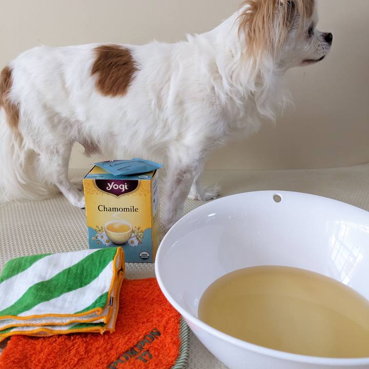 Cab55fcd e154 4d5f aad4 27f035d484c0 1678257107172