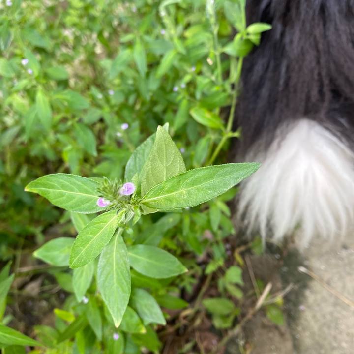 Cab5a4c5 065a 4236 bb7a 717d302fb36f 1600474245164