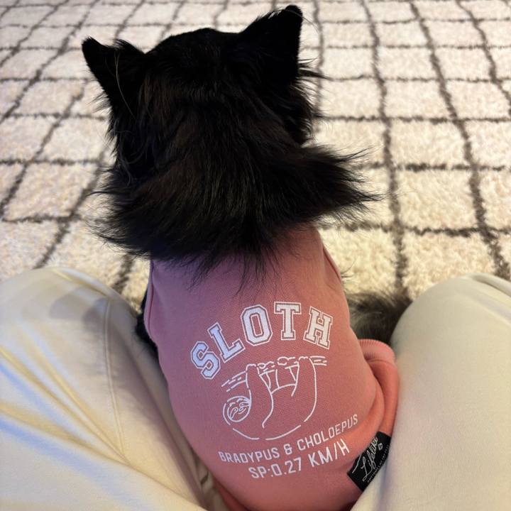 Cab5cfe8 457f 4c35 86b3 dc4f79f6dd65 1737820737684