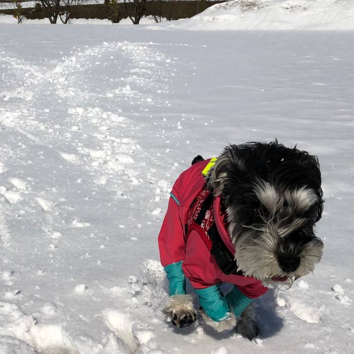 Cab5e5c6 a4b0 46aa b51b e7e46f2b7aa0 1518937244138