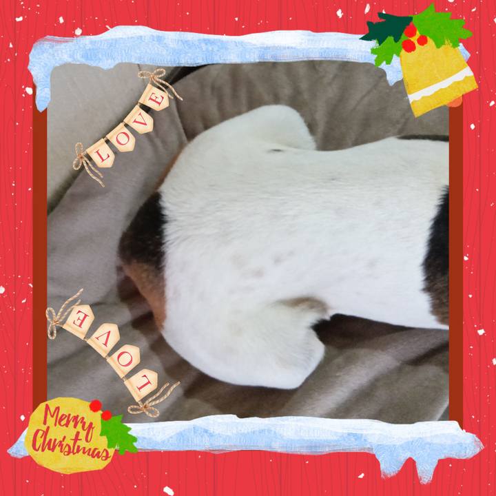 Cab5e703 87de 4e88 8f53 ef490a868c75 1735114770423