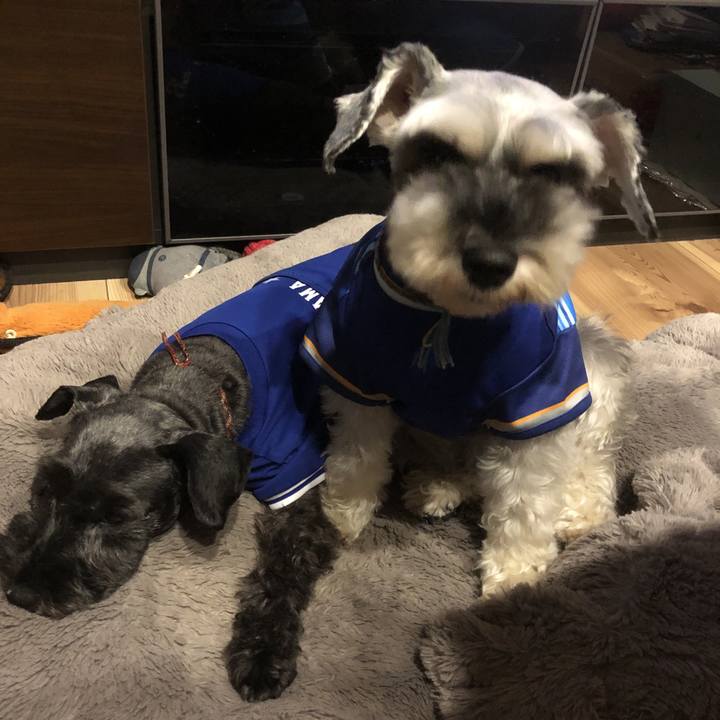 Cab5e74b 8f0f 463a a1d1 2246baf50a1e 1568640698060