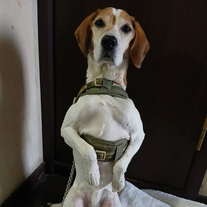 Cab5ee9f 8713 427a 8165 e2770e60e4bc 1769227746834