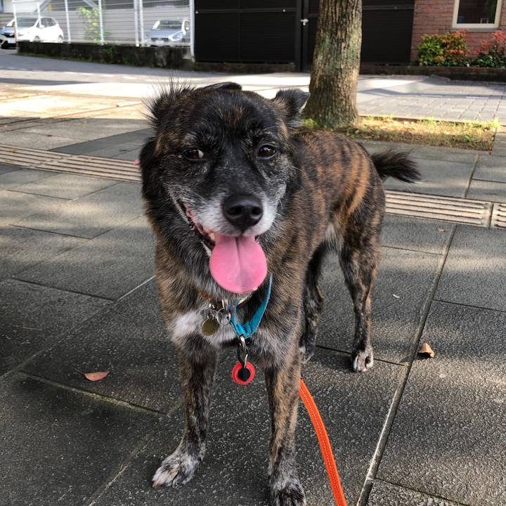 Cab6021a 2715 4622 823f b0d0eb9a5584 1567566797885