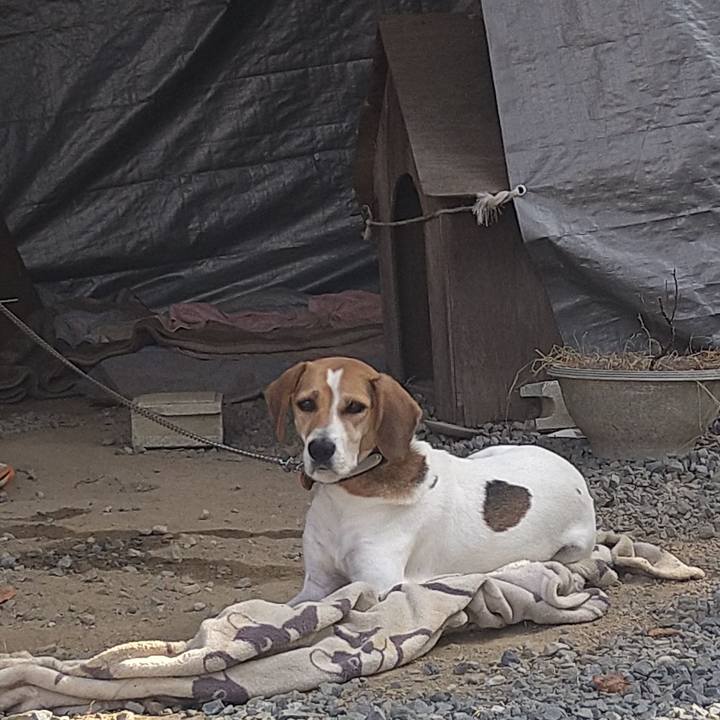 Cab605f1 c55e 4313 9a07 db1b9e8bd34c 1634387402167