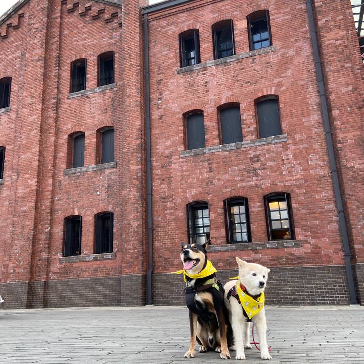 Cab61aa6 0e2c 4700 9791 5d91a69ce9a6 1699290858721