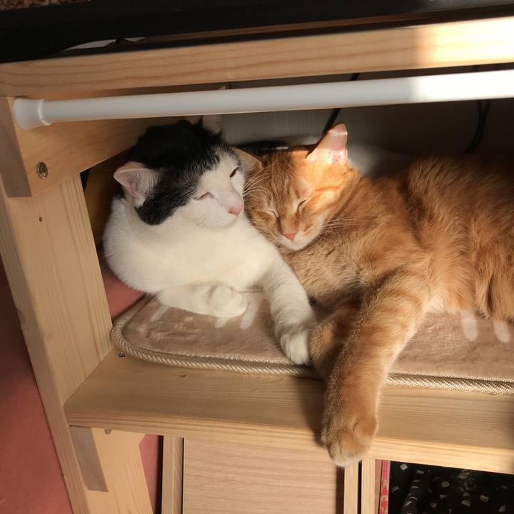 Cab63ce3 963e 4966 a07f a1345d3777d0 1510293806330