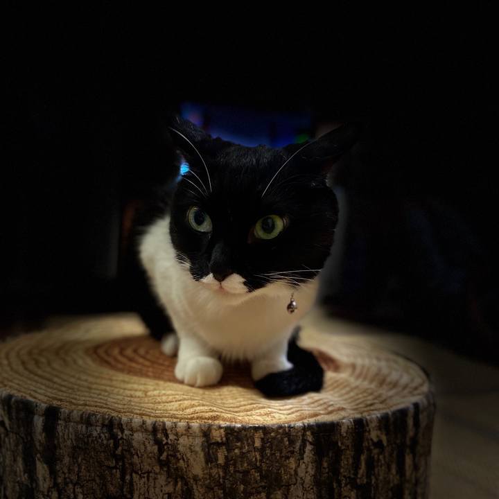 Cab64c37 23ed 4a1c bdf5 a6264aec52fe 1594397207863