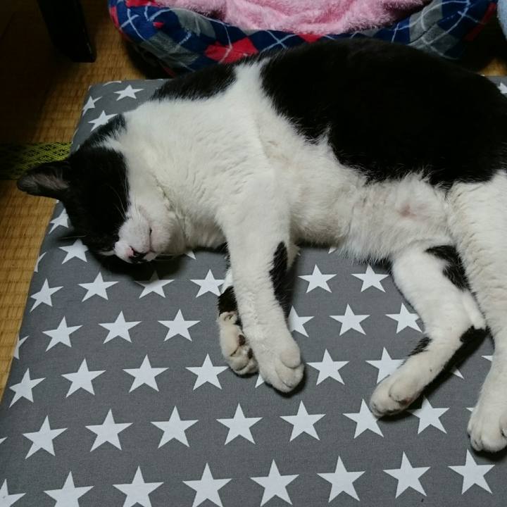 Cab667f8 5122 479f 9e05 e338d0ea38c1 1524998346412