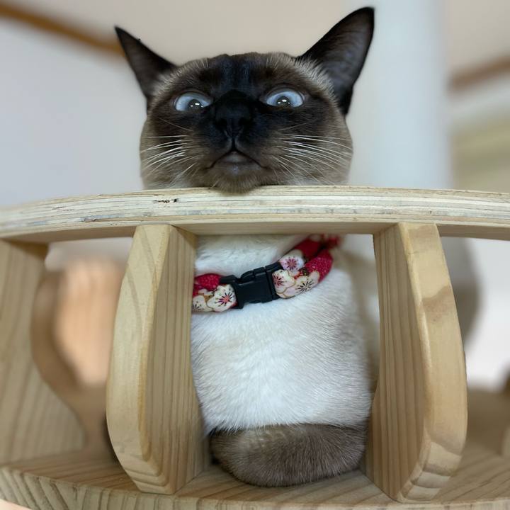 Cab67ba6 363c 483d b212 000199fdea58 1709325393307