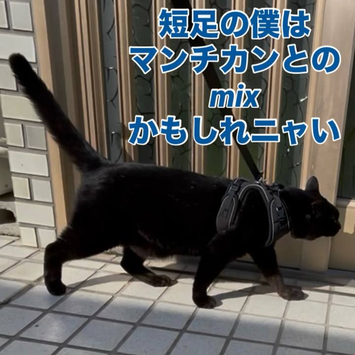 Cab6a41b cea0 4520 849a 38d355c7c258 1763178524975