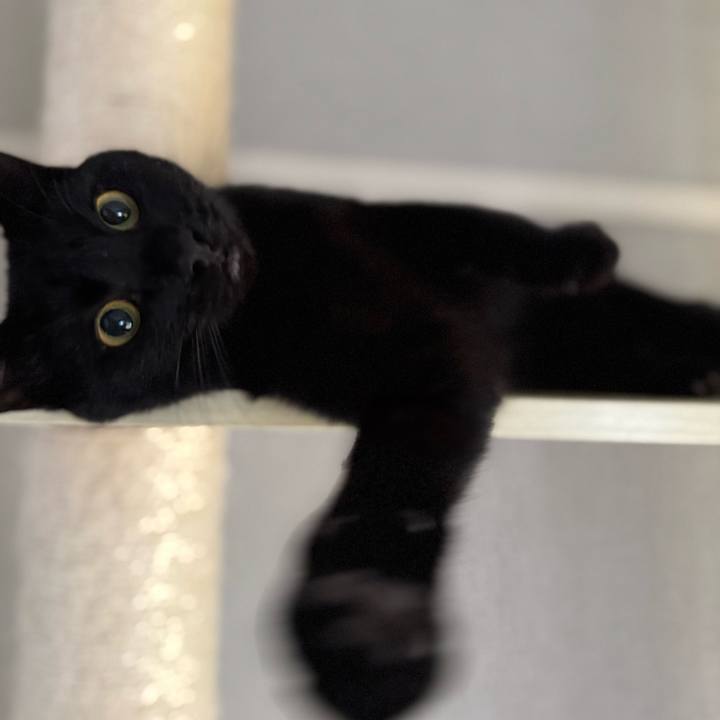 Cab6aa22 7ac9 4255 a19c 2650c421e2df 1740711457606