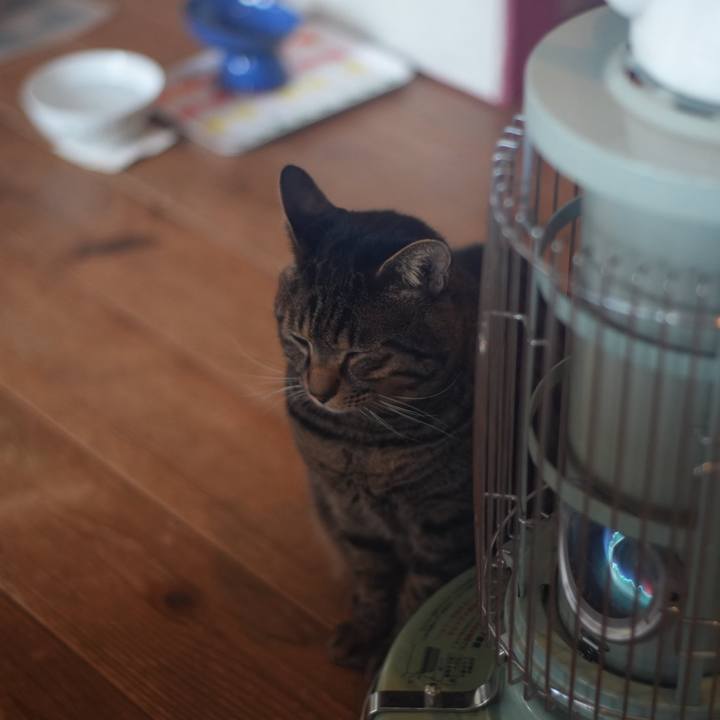 Cab6b25e aeeb 4d90 adfb 3822b700031e 1736942354448