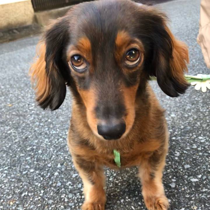 Cab72315 f0e3 4283 86a5 d3956c75b24b 1613227767462