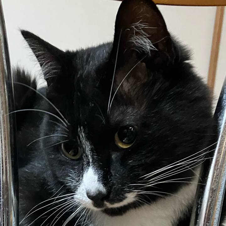 Cab763d1 c439 4b58 8c26 bbb99e668e0d 1690124175222