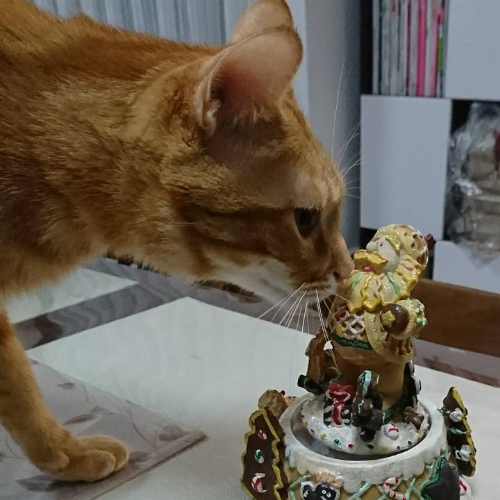 Cab774df f06f 4b12 afb2 c6a294a4dd28 1512256726339