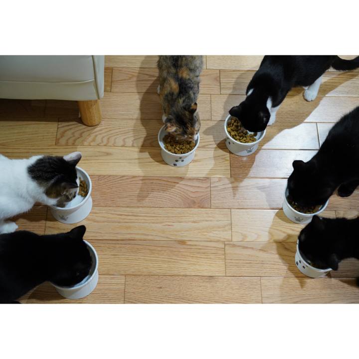 Cab791e9 fb41 4d07 8ff6 5114c091ab06 1572565231716