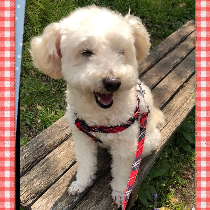 Cab7a798 51cd 470e 9f4e 9f33bd963167 1522805284856