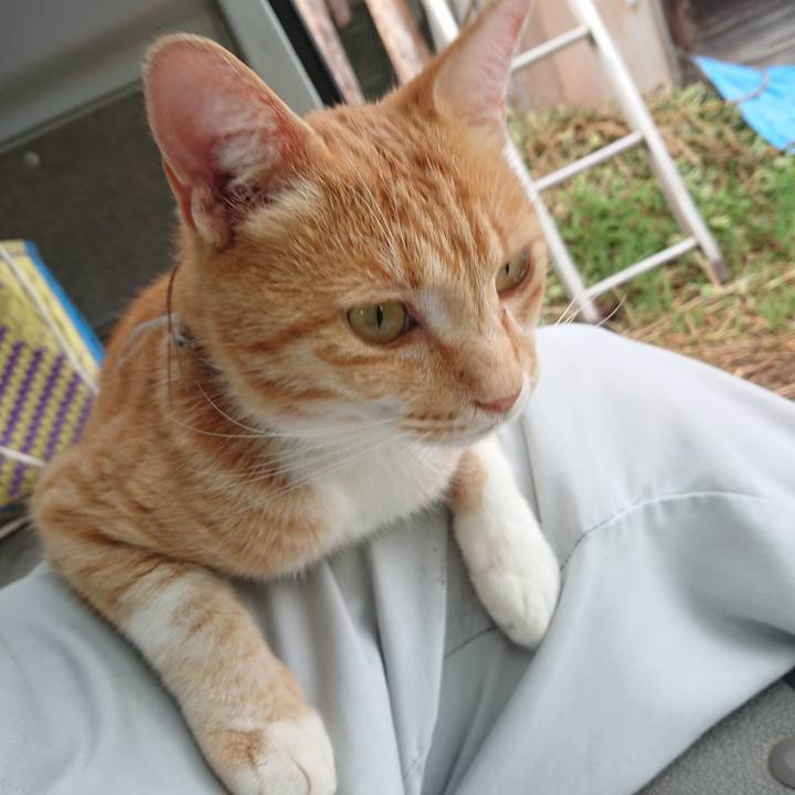 Cab7b1d9 0a9d 403b 8234 707500dd41cd 1594201040157