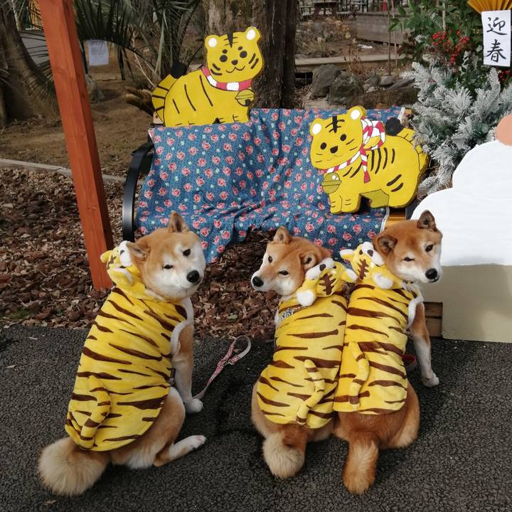 Cab7d0a0 5366 4bf8 8a00 0bf68150a40f 1641797628442