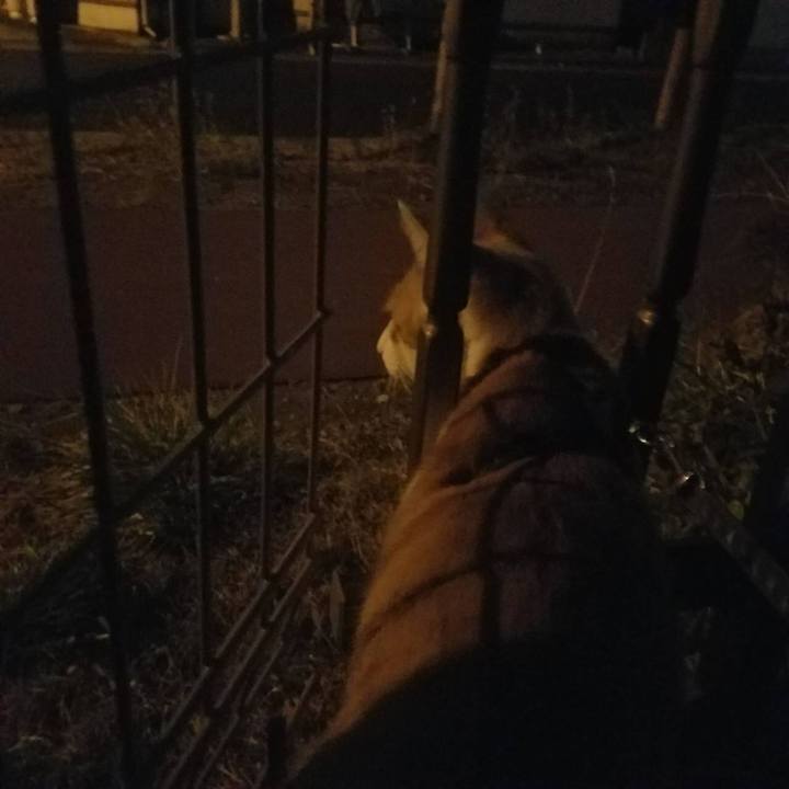 Cab7dc1d dae6 4507 b2c0 dd317c16c9a3 1512646478698