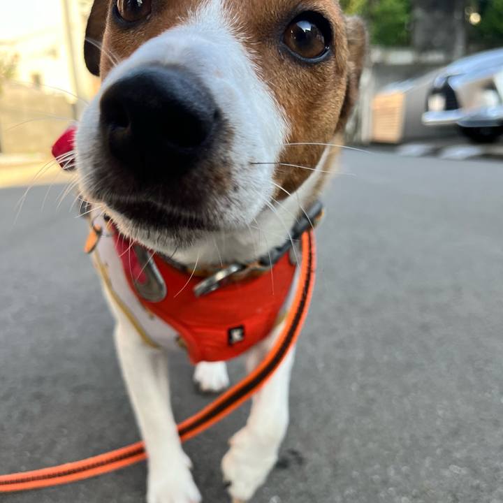 Cab7f1c2 754e 495a a87c b25e8e4d9298 1719031104687