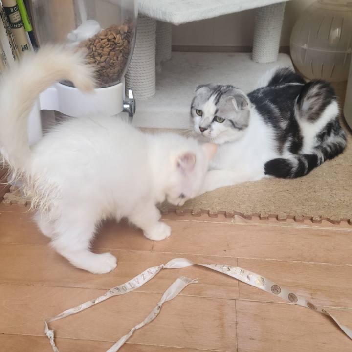 Cab7fc0e 328c 4d51 9db8 dcb60c815643 1655107314146