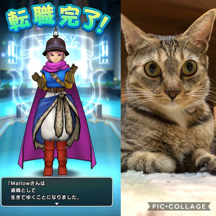 Cab83089 31c0 497c 9416 8989b321440a 1589537769455