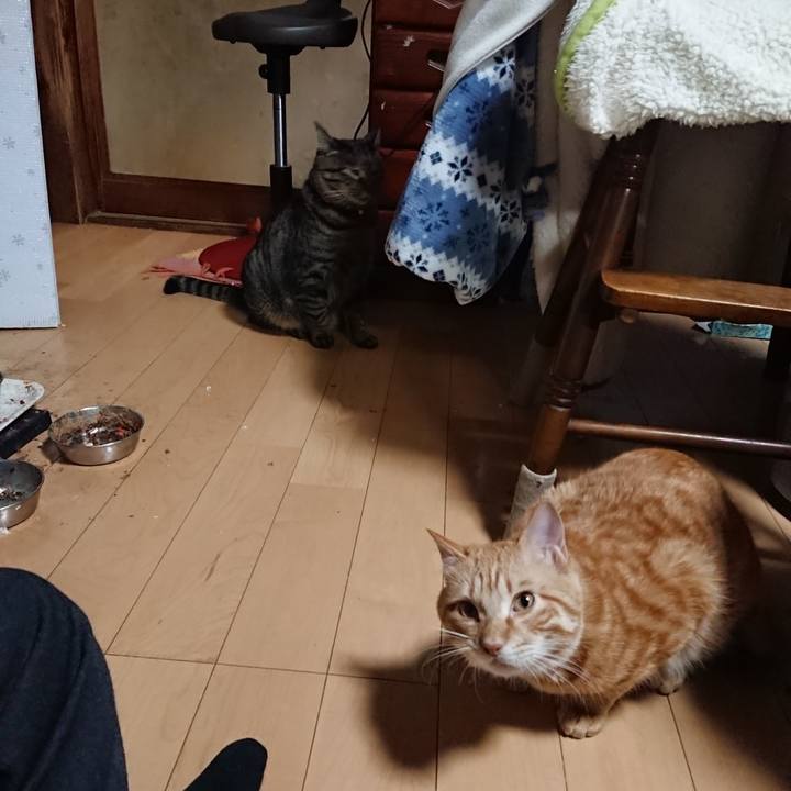 Cab85ccb d3bb 46d2 b4e0 c6e4522df0e4 1643977476464