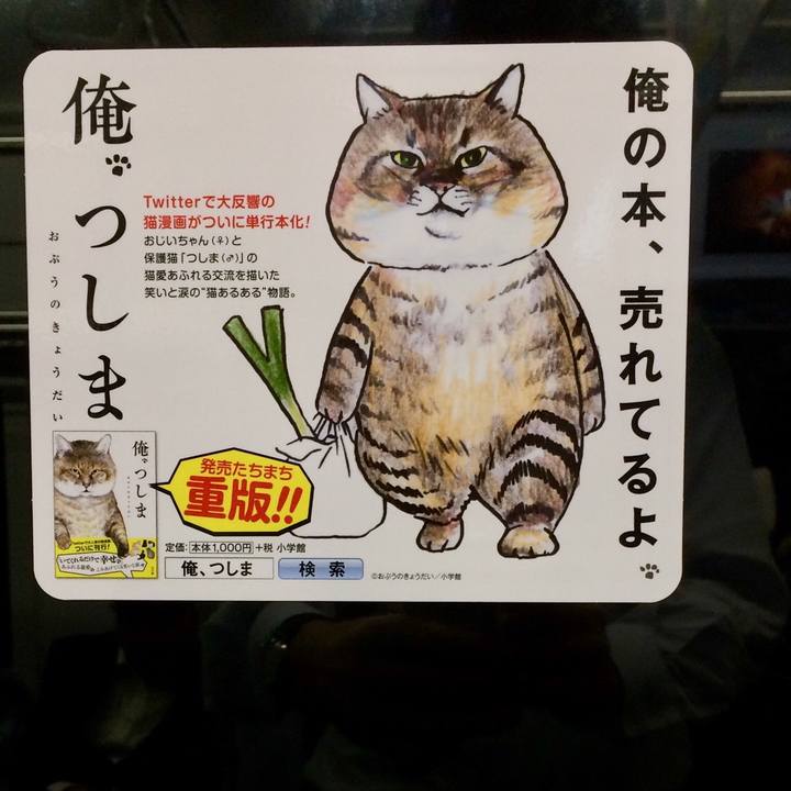 Cab86ba9 2806 4f44 b3ef a774c18157a1 1529543089696