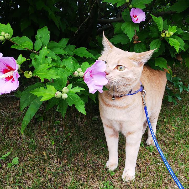 Cab899ff ac31 435a a4fe e14d21a6d549 1597360761390