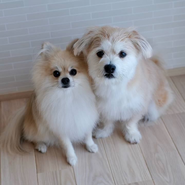 Cab8acea 5e76 4552 a41b 3a28c7c9cd00 1757541821728