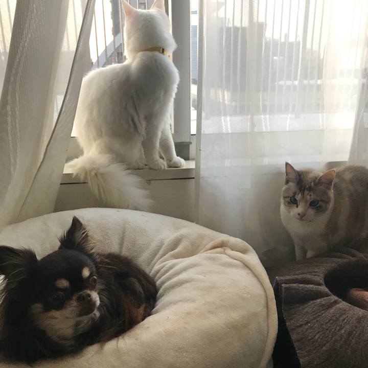 Cab8ca0f 53fc 45ec 8bde bbd32d931425 1517140856262