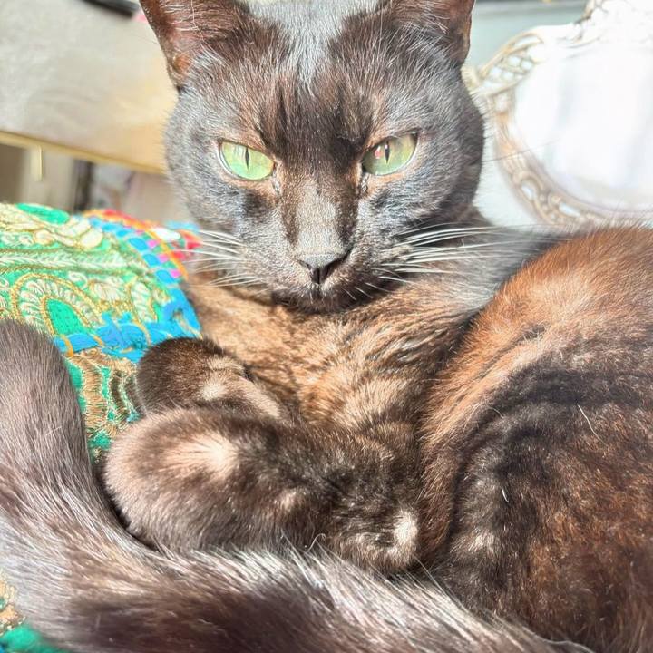 Cab92b73 de37 40bc a201 865ee6f157fc 1704593179758