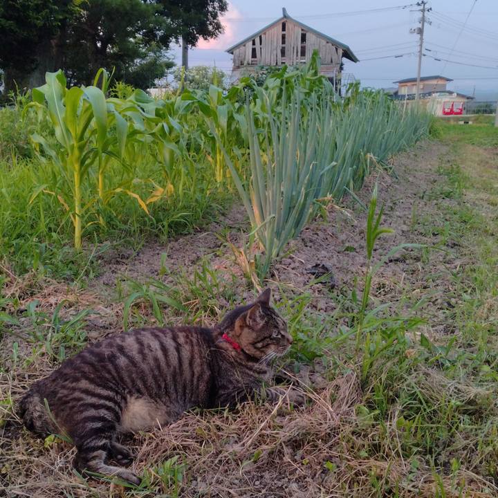 Cab938af e6cb 4f3c a7bc 34e59c7b8c95 1690108789710