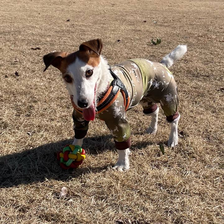 Cab94060 8d8d 45bb a4cd 8796ba2ae0ed 1771764030825