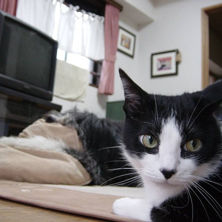 Cab9564b 95fe 4e0f 9741 b8b97157f554 1526124435047