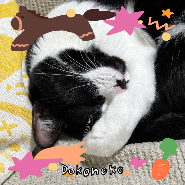 Cab96c6f 8150 4335 a1fa 4d8b11a94171 1772158854127