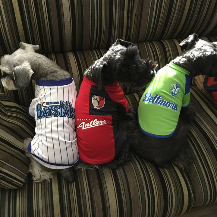 Cab99a0d 29e7 41a8 a754 ddcba11624f3 1701943026694