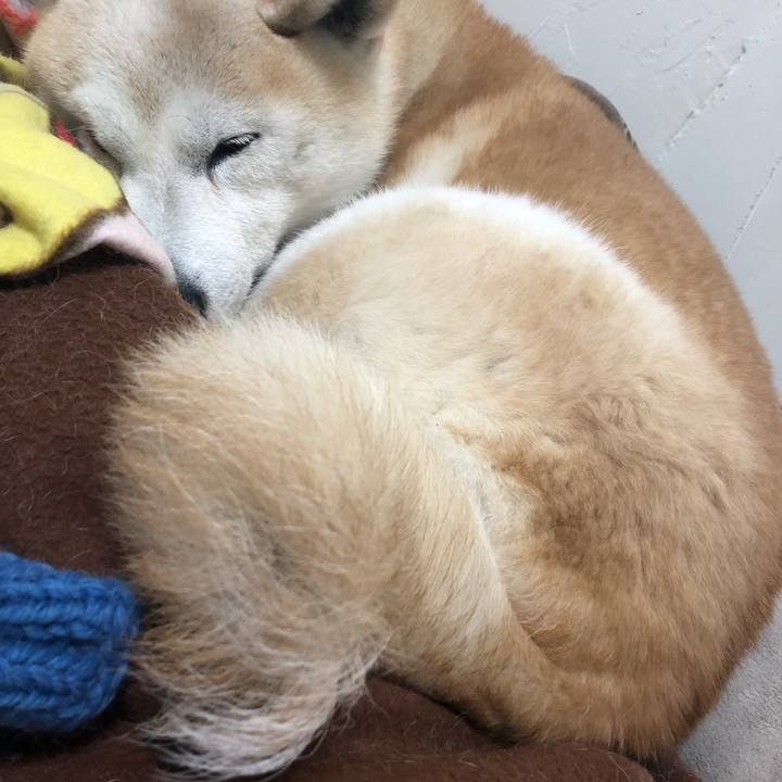 Cab99d4b b3d3 4cd4 976e c33558c862be 1555154349001