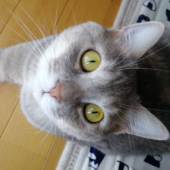 Caba07b5 2f12 43ee 82ae aa9fdb3884ae 1535874762229