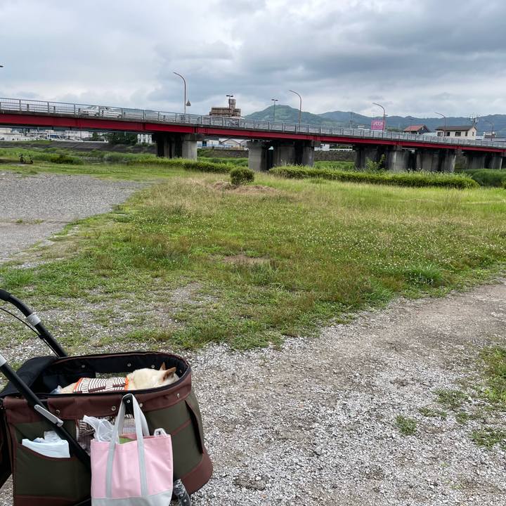 Caba1c66 1e81 4d0a 9f75 3ae505cc38f7 1655644307696